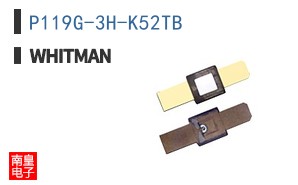 P119G-3H-K52TB ͼƬ